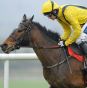 Cousin Vinny, with Ruby Walsh up, on their way to winning the Festival Free Upgrade Offer Ends Today Hurdle at Punchestown. Picture: SPORTSFILE