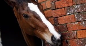 Kauto Star