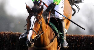 Arch rivals and stablemates Kauto Star and Denman head a field of 12 left in the totesport Cheltenham Gold Cup on Friday at the confirmation stage. Arch rivals and stablemates Kauto Star and Denman head a field of 12 left in the totesport Cheltenham Gold Cup on Friday at the confirmation stage.
