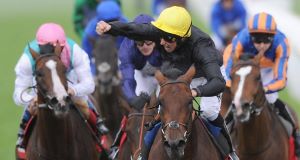 Masked Marvel and William Buick (yellow cap) win the Ladbrokes St. Leger Stakes. Masked Marvel and William Buick (yellow cap) win the Ladbrokes St. Leger Stakes.