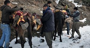 People mount bodies onto mules yesterday after Turkey